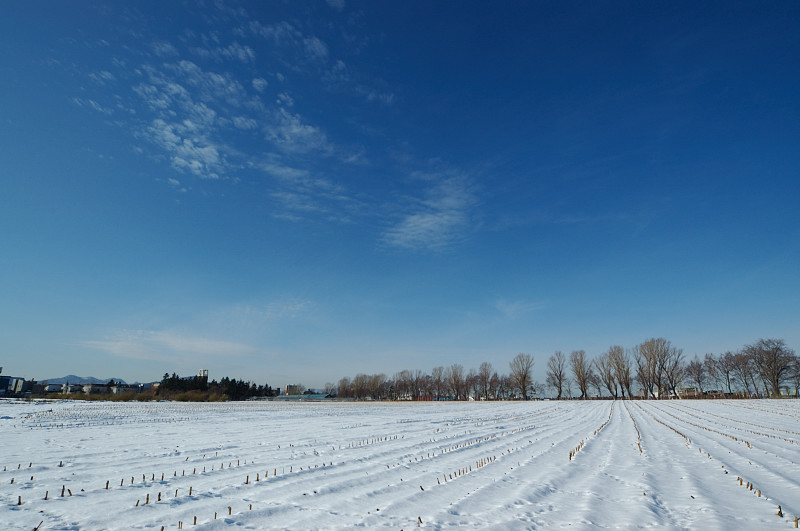 c0084666_18531271.jpg