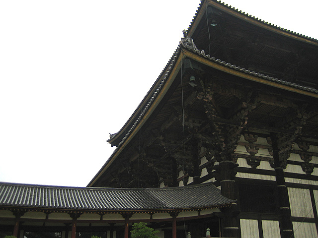 a0012770_11143749.jpg