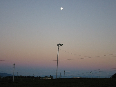 b0007571_8265416.jpg