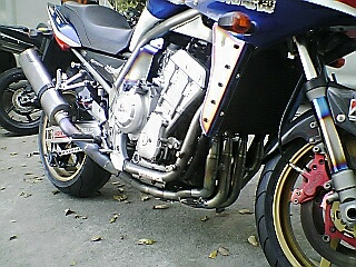 c0041071_11434169.jpg