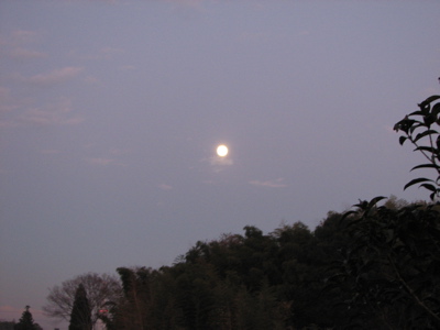 d0050472_20512863.jpg