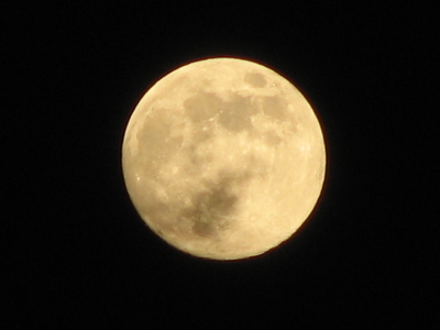 d0050472_20575875.jpg