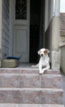 f0061977_1201282.jpg