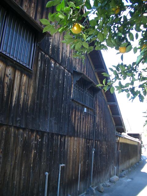 f0089079_1021798.jpg