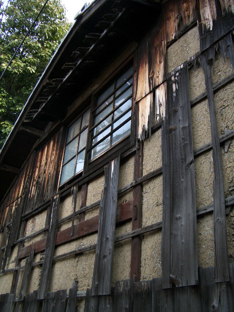 f0089079_9583283.jpg