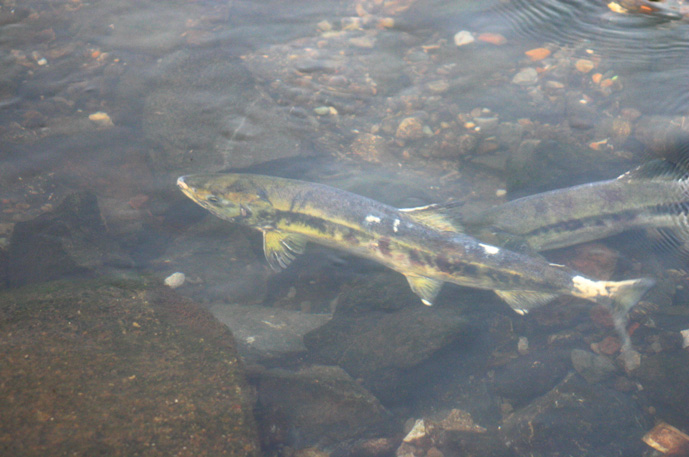 b0089483_21381410.jpg