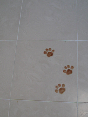 e0008586_22231486.jpg