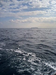 d0071590_21501599.jpg