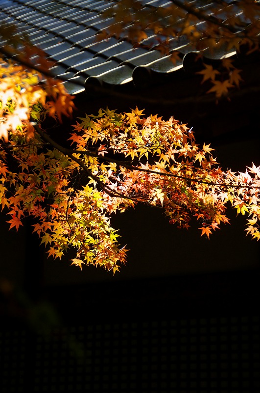 a0054691_22284783.jpg