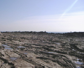 c0008598_17192035.jpg