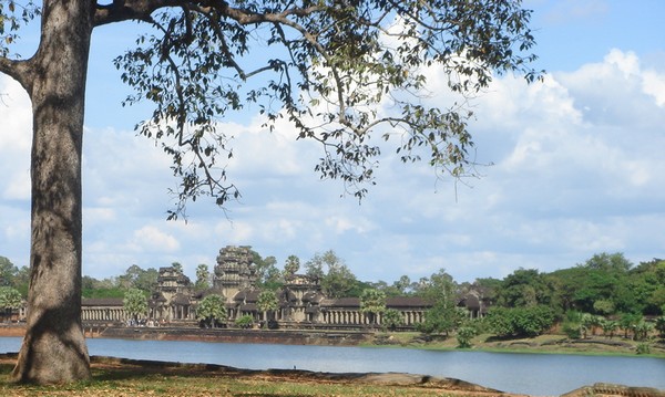 e0007801_1144971.jpg