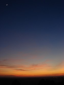 e0007801_1155343.jpg