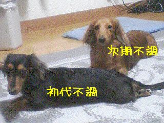 b0044804_16241814.jpg