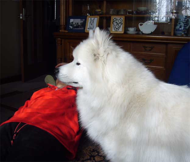 e0018604_17344918.jpg