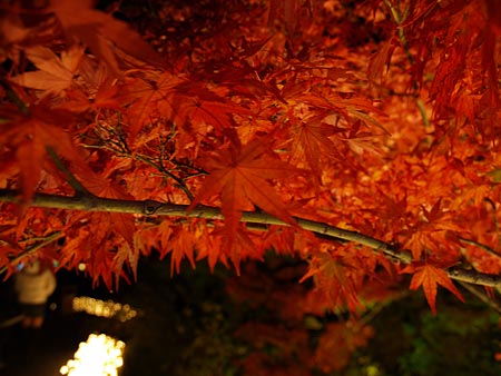 a0041508_21451375.jpg