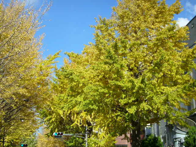 e0015108_1415638.jpg