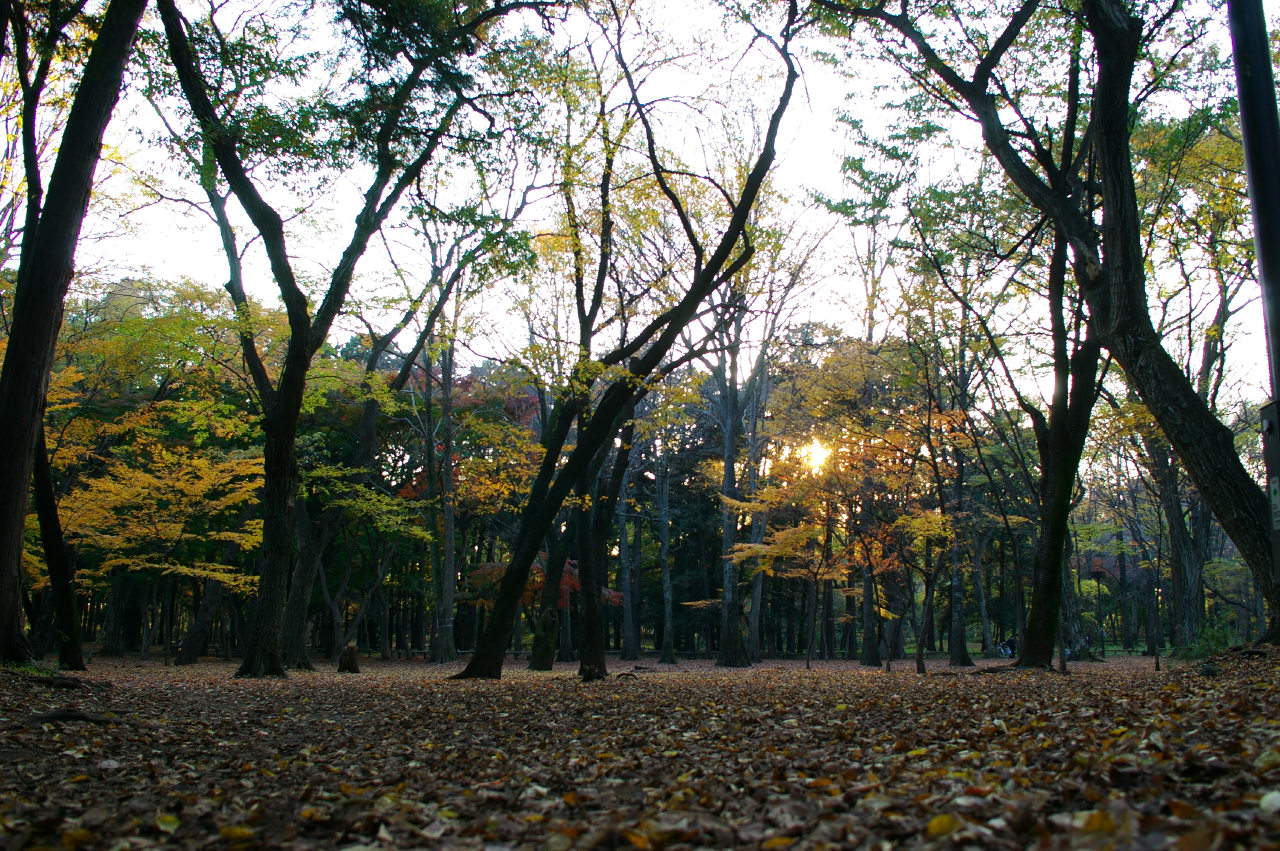 d0092109_21433613.jpg