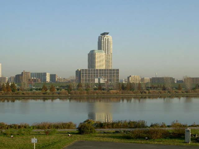 a0077616_942423.jpg
