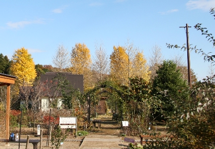 e0071225_13455336.jpg