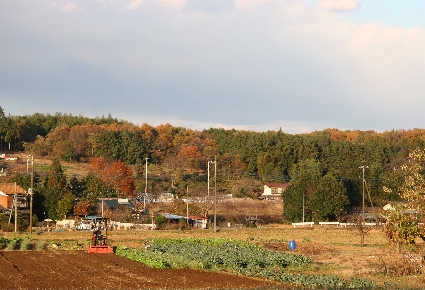 e0071225_1555822.jpg