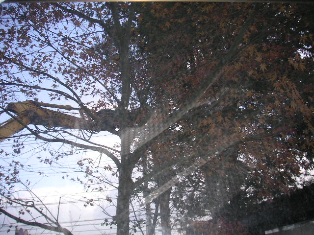 a0020929_9291469.jpg