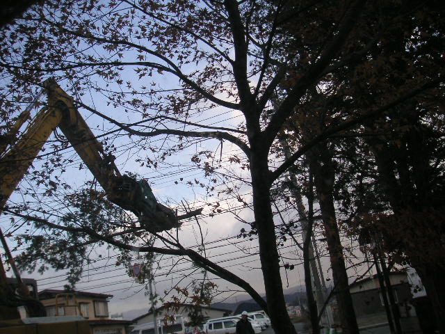 a0020929_9303696.jpg