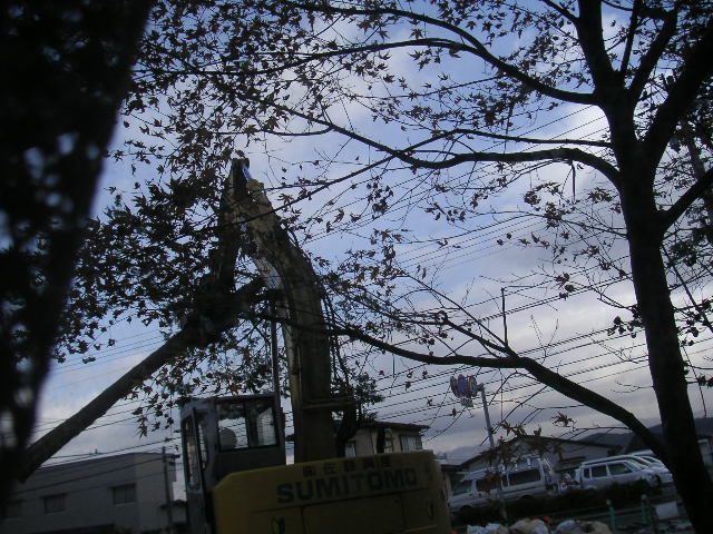 a0020929_931377.jpg