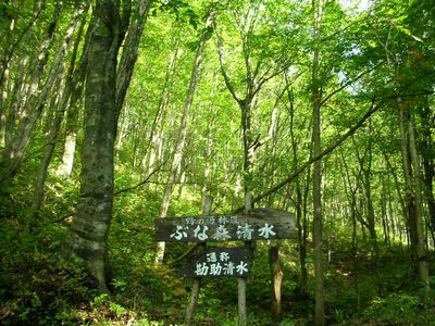 b0042334_21471334.jpg