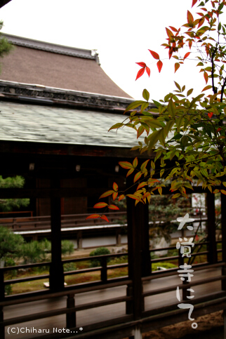 c0046340_221615.jpg