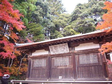 c0057946_20113151.jpg