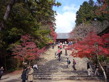 c0057946_20122389.jpg