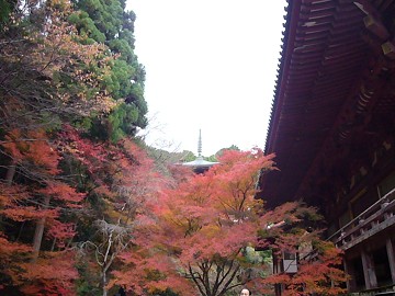 c0057946_20134122.jpg