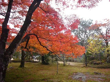 c0057946_20142963.jpg