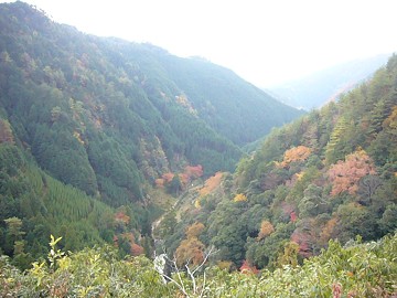 c0057946_20153120.jpg