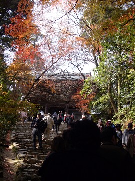 c0057946_2051144.jpg