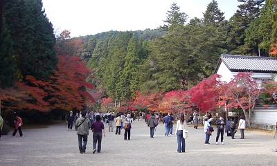 c0057946_2053332.jpg