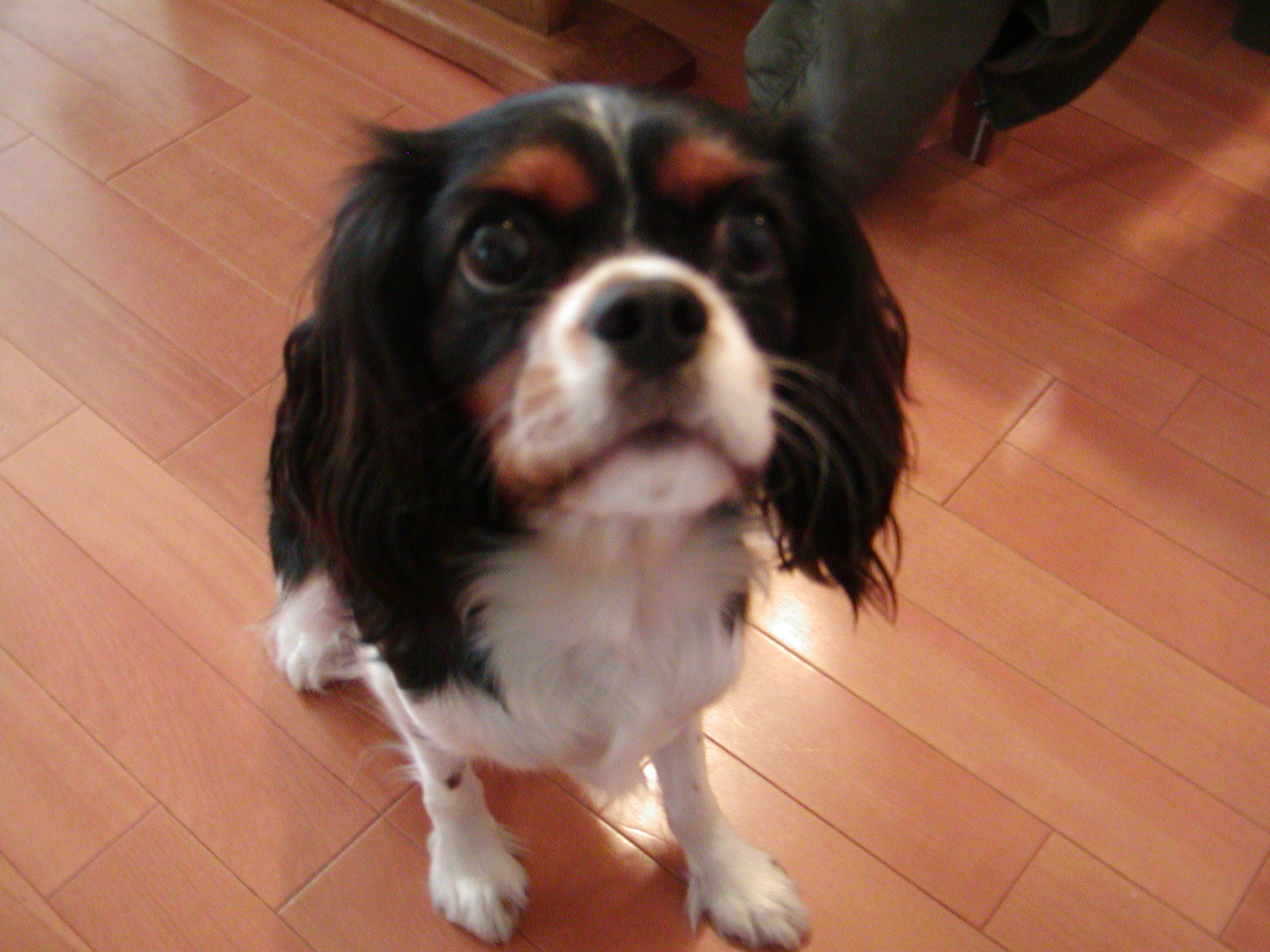 f0039446_14425536.jpg