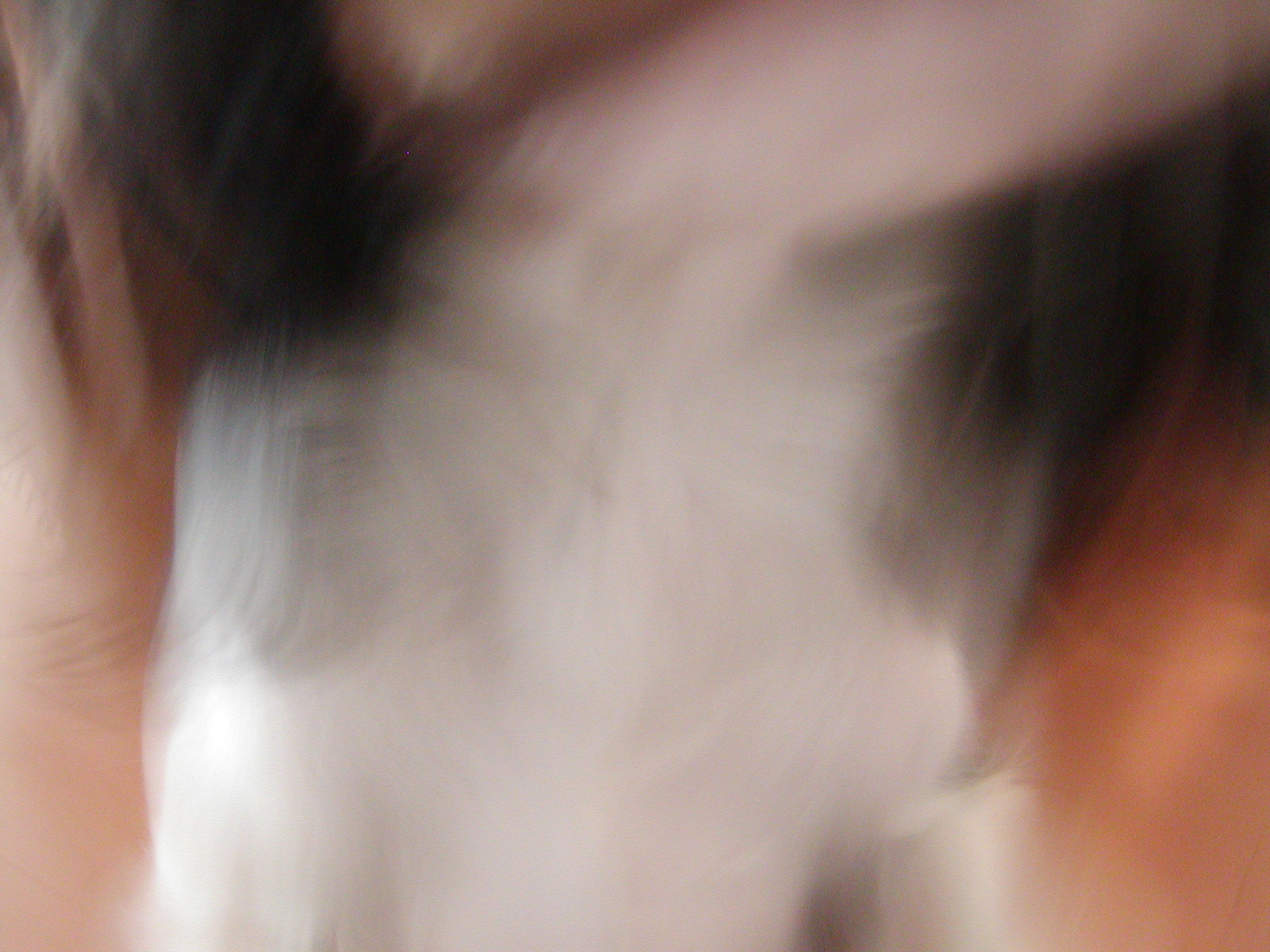 f0039446_14444225.jpg
