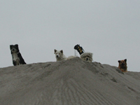 f0095047_1837943.jpg