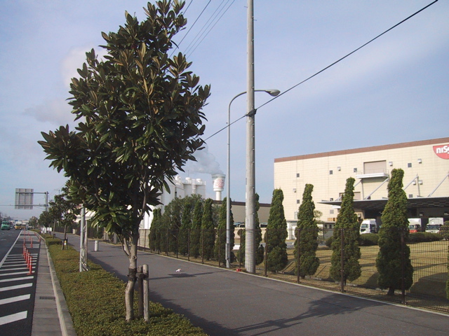 f0046250_0225520.jpg