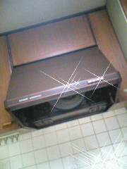 c0025852_8463062.gif