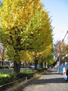 a0021558_22511713.jpg