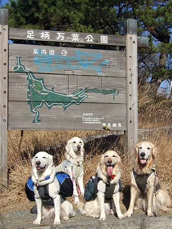 c0097558_20504660.jpg