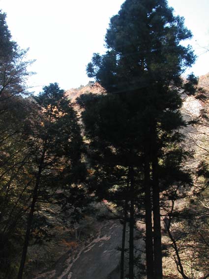 c0064161_13363877.jpg