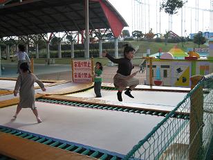d0044262_1055277.jpg