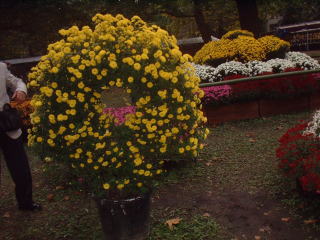 a0085663_21515188.jpg