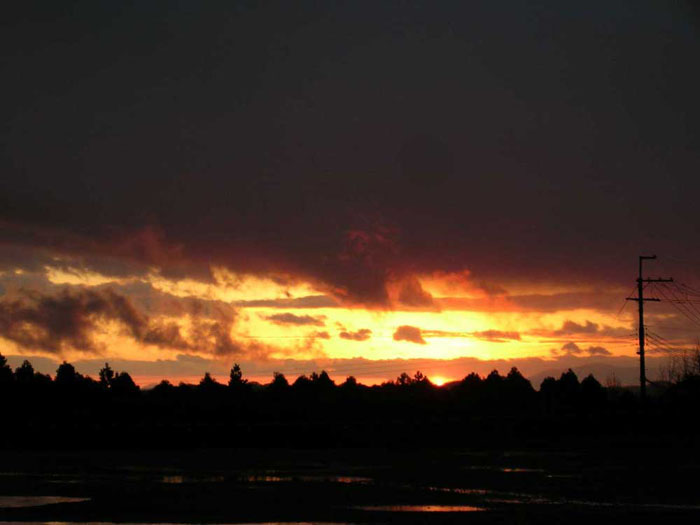 f0090964_7272191.jpg