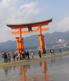 c0102268_1654476.jpg