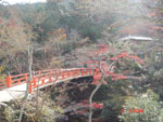 c0102268_1658204.jpg