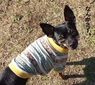 c0012571_1146482.gif